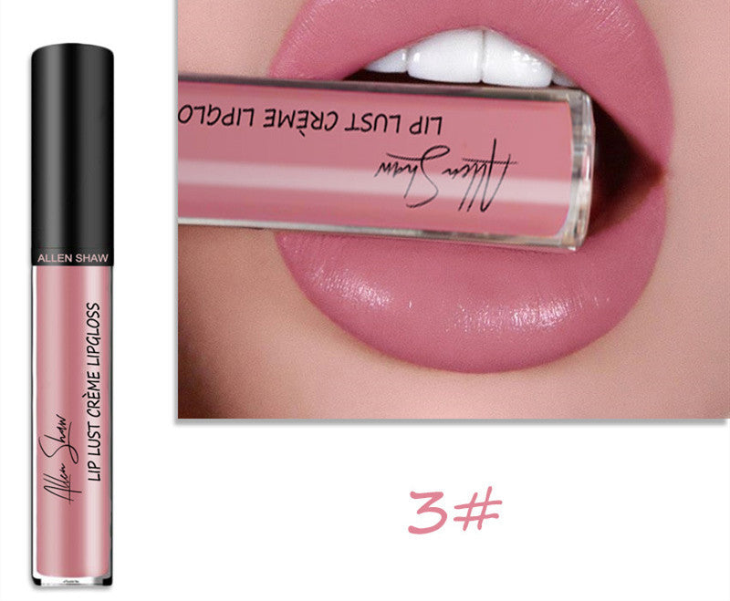 Silky Cream Texture Lip Gloss Aliexpress Shopee Cross-Border Exclusive Lip Glaze Lip Gloss Lipstick - souqmart