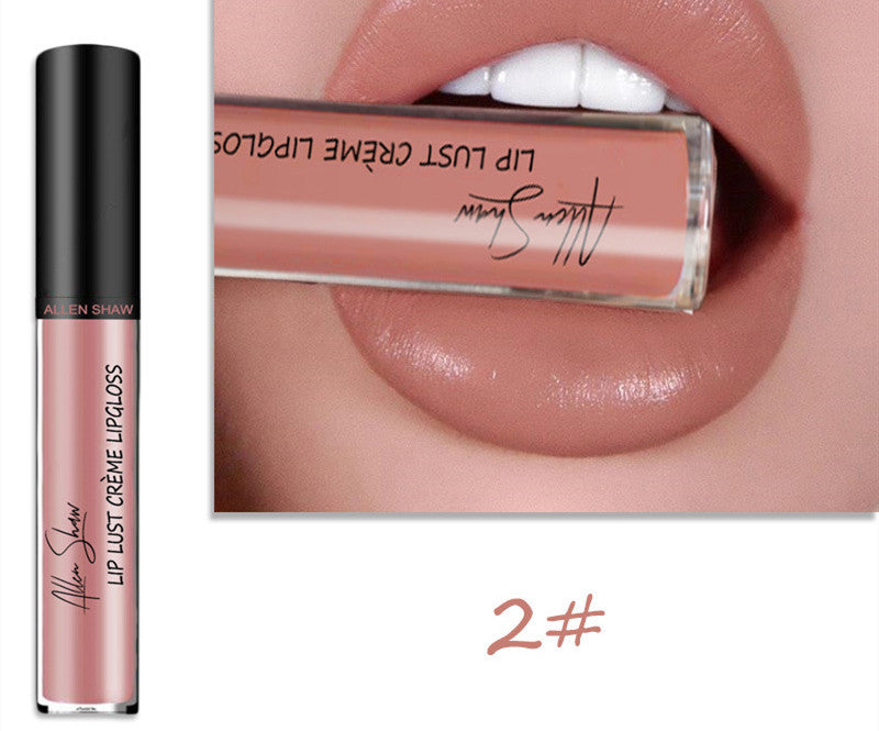 Silky Cream Texture Lip Gloss Aliexpress Shopee Cross-Border Exclusive Lip Glaze Lip Gloss Lipstick - souqmart