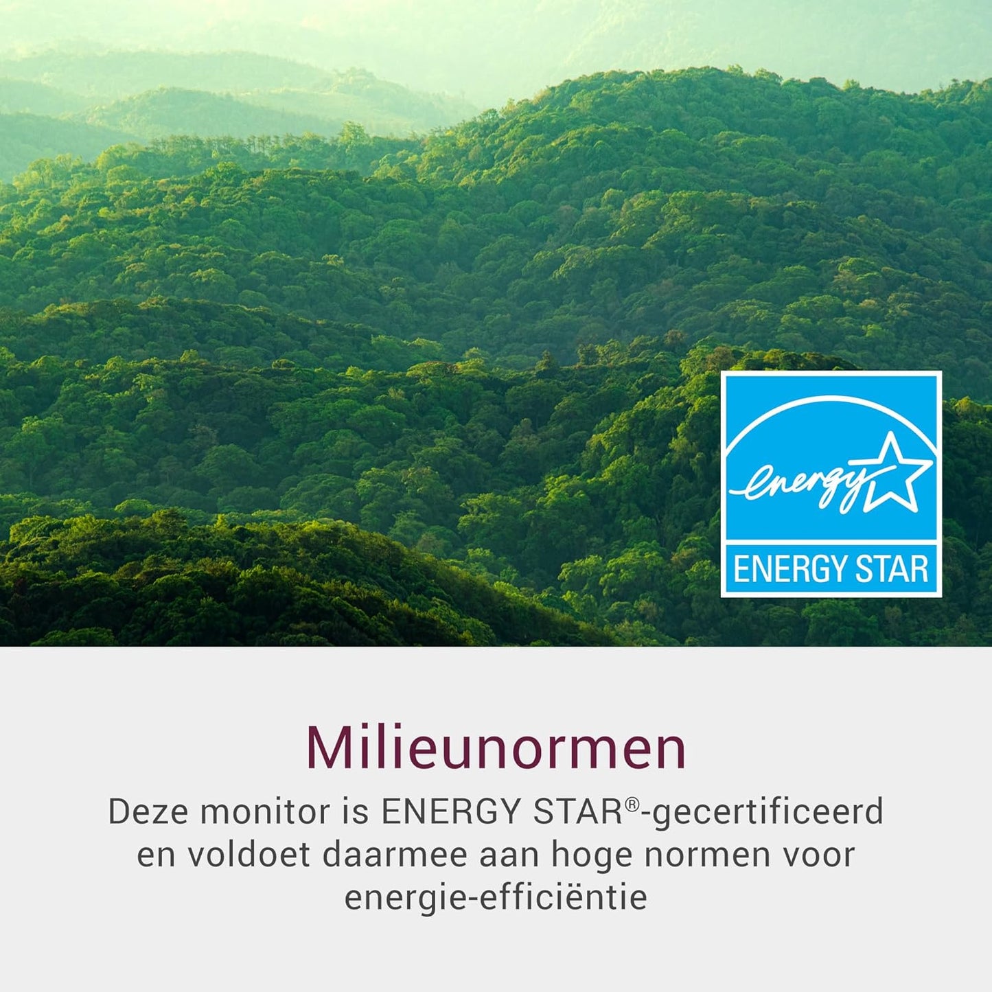 Dell 24 Monitor - SE2425HM, Full HD (1920x1080), 100Hz, IPS, 5ms, VESA (100x100mm), HDMI, VGA, 1 Year Warranty, Black