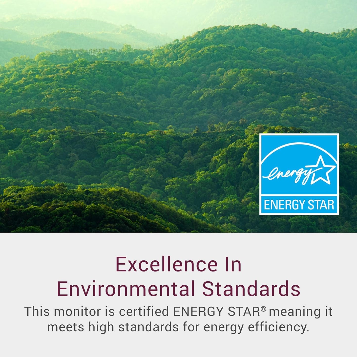 Dell 24 Monitor - SE2425HM, Full HD (1920x1080), 100Hz, IPS, 5ms, VESA (100x100mm), HDMI, VGA, 1 Year Warranty, Black